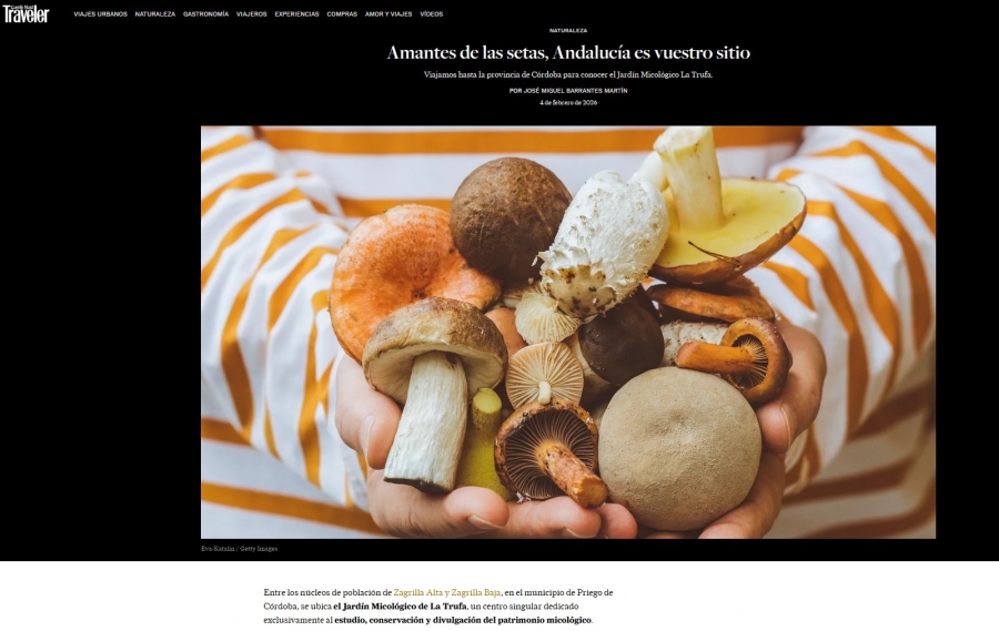 Amantes de las setas, Andalucía es vuestro sitio por Traveler y José Miguel Barrantes Martín