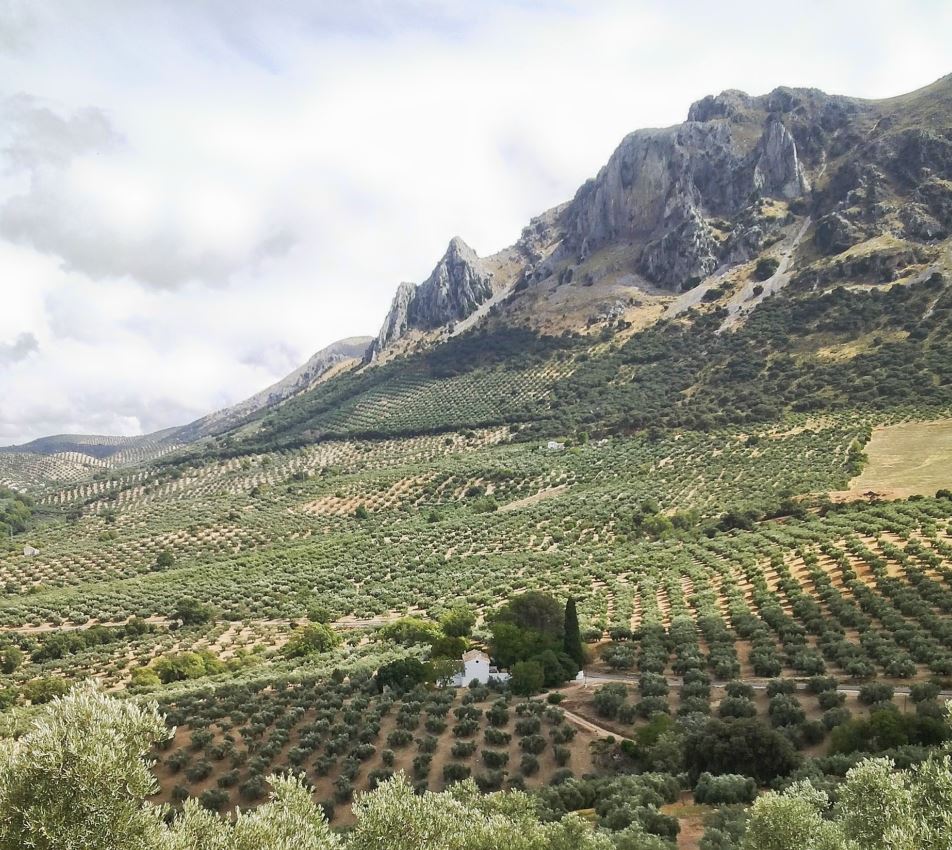 CR Cortijo Abril