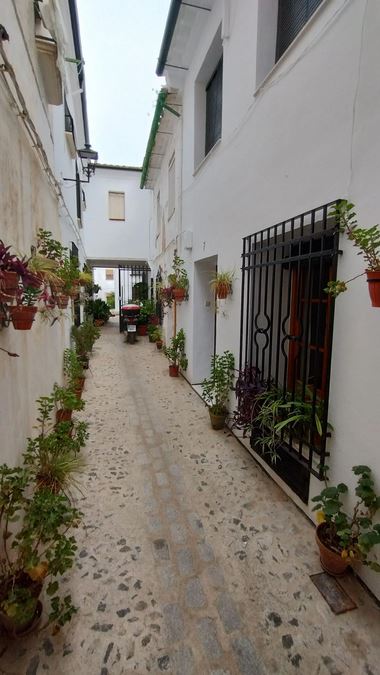 VTAR Casa Bajondillo