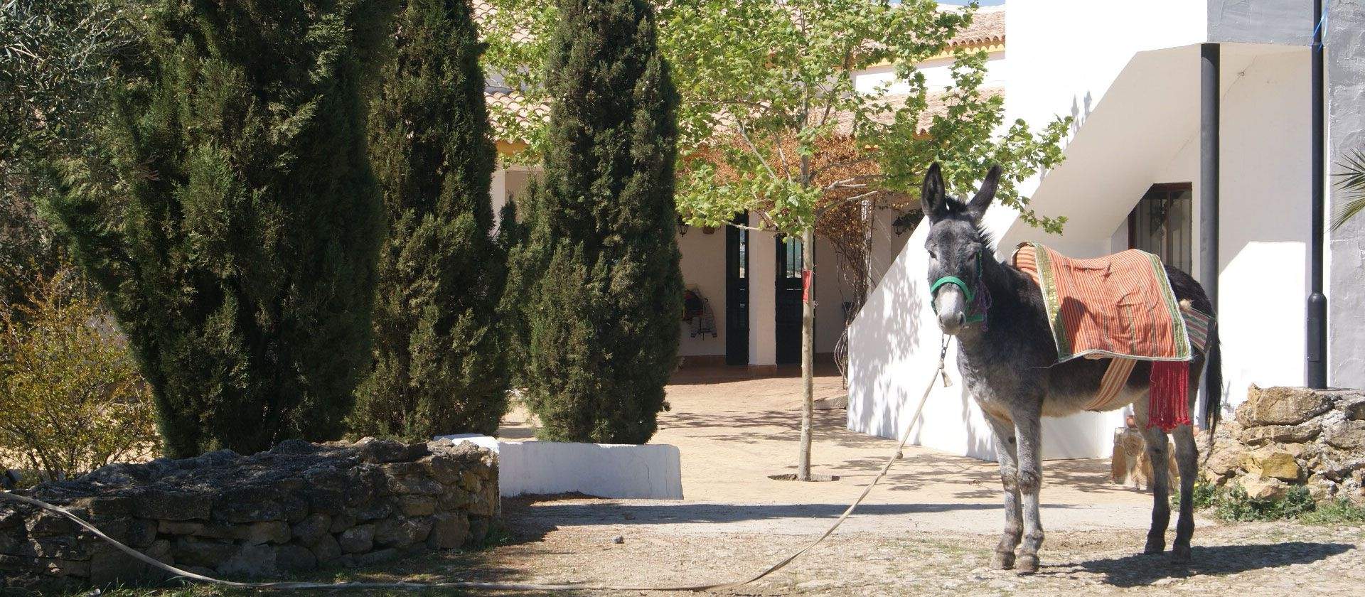 Granja Escuela La Subb&eacute;tica