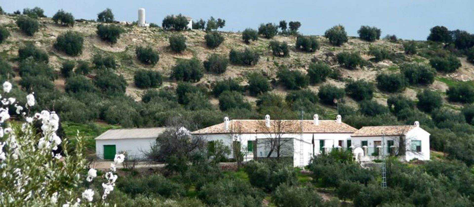 CR Cortijo De La Encina