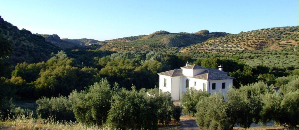 CR Casa Olea. Categor&iacute;a Superior