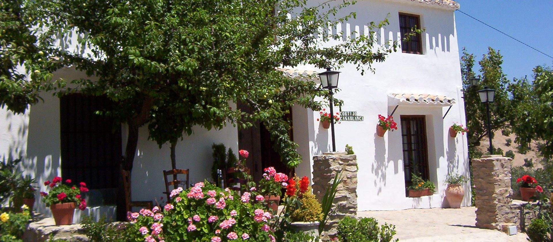 CR Cortijo Casablanca. Categor&iacute;a Superior