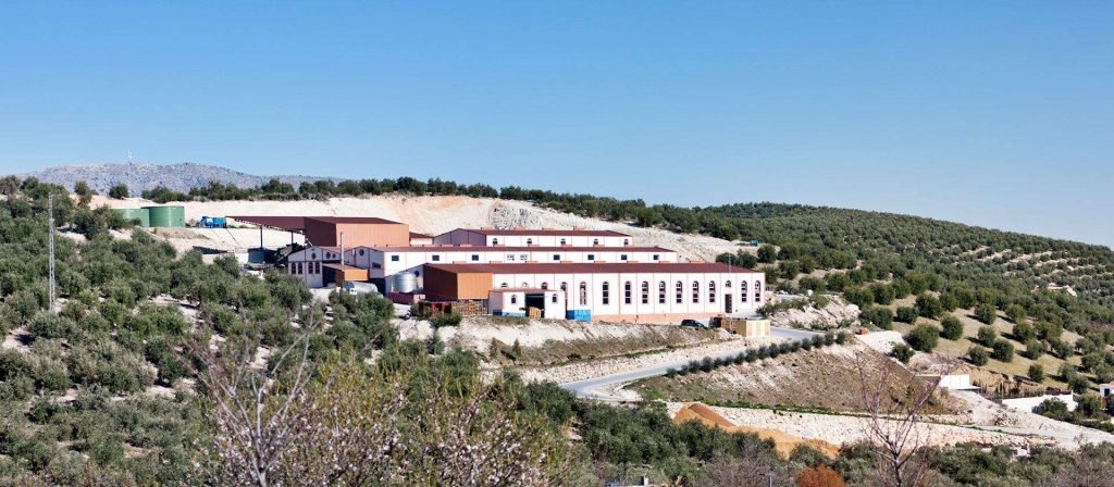 Mueloliva