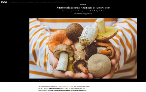 Amantes de las setas, Andaluc&iacute;a es vuestro sitio por Traveler
