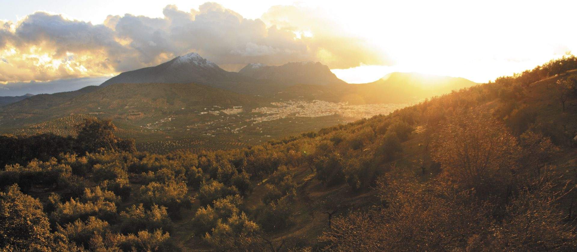 imagen-naturaleza-paisaje-priego